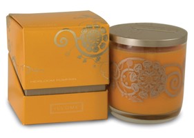 Illume Simply Fall Collection Heirloom Pumpkin Boxed Glass Candle