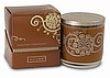 Illume Simply Fall Collection Roasting Chestnuts Boxed Glass Candle