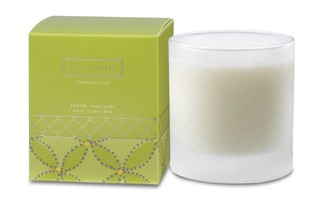 Illume Oakmoss Soy Boxed Glass Candle