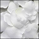 300 White Silk Rose Petals