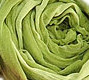 IVL Scarves Garden Green.jpg