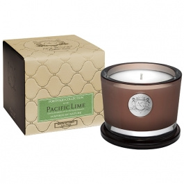 Aquiesse Portfolio Classic ~ Pacific Lime Small Boxed Candle