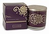 Illume Simply Fall Collection Blackberry Sage Boxed Glass Candle