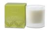 Illume Oakmoss Soy Boxed Glass Candle