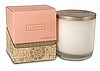 Illume Pink Grapefruit Soy Boxed Glass Candle