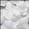 300 White Silk Rose Petals