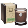 Aquiesse Portfolio Classic ~ Pacific Lime Large Candle