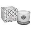 Aquiesse White Currents ~  White Grapefruit Acai Small Boxed Candle